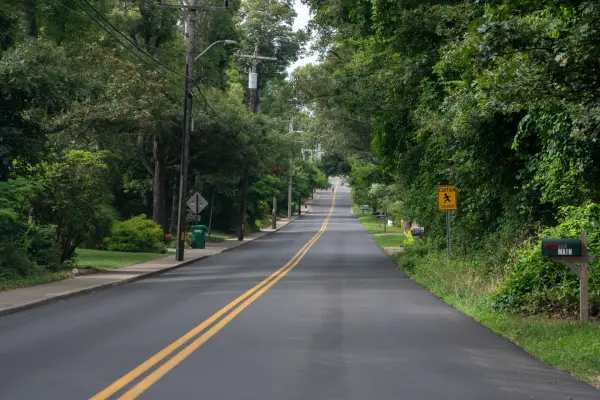 Tree-lined West Chop Road in Vineyard Haven