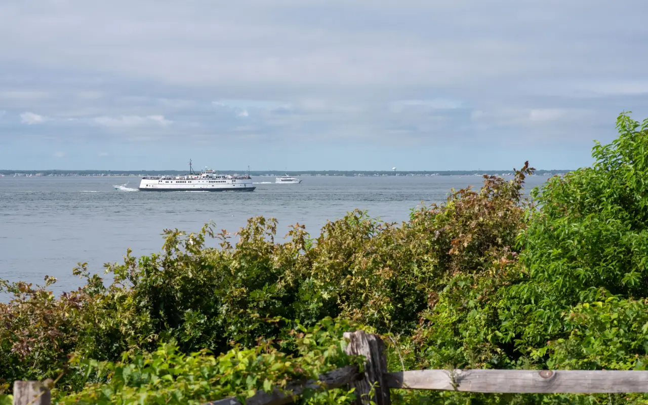A white ferry passing West Chop on blue water, seen over green shrubs from the shore