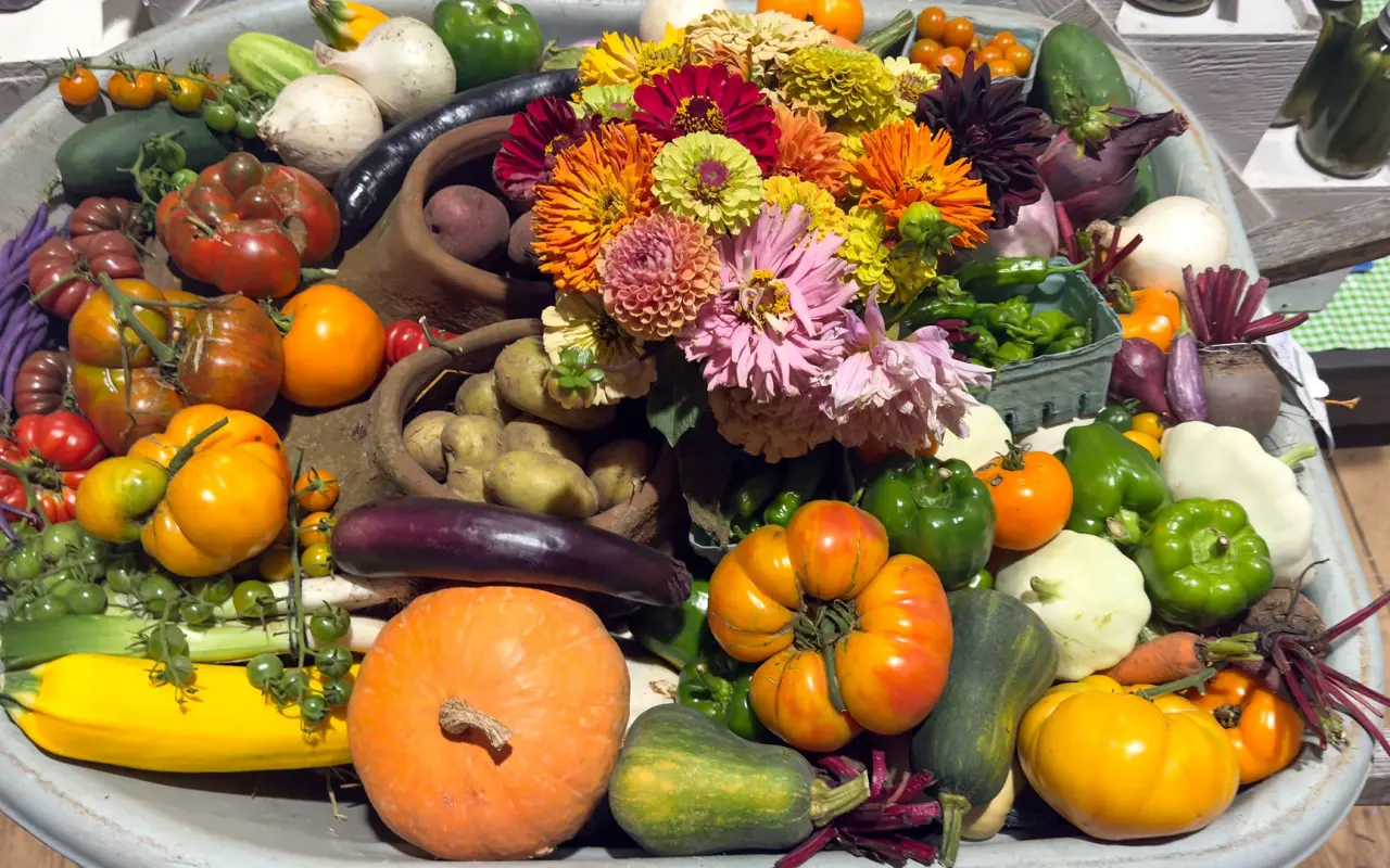 Harvest platter of vegetables and zinnias at the 2026 Agricultural Fair in West Tisbury on Martha's Vineyard