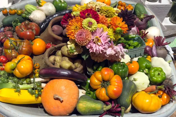 A harvest platter piled high: heirloom tomatoes, peppers, squash, and a crown of zinnias