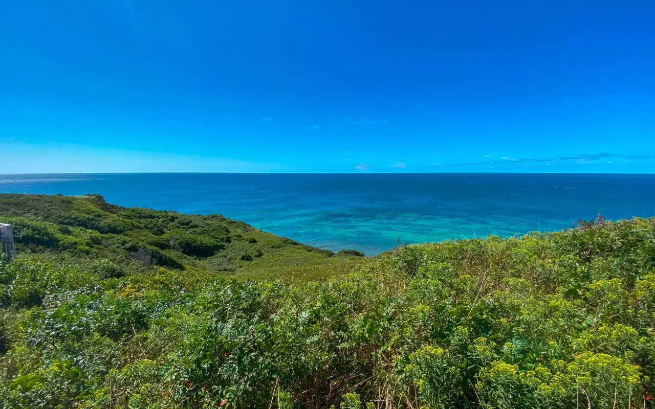 Green bluff at Aquinnah with the sea beyond on a sunny day