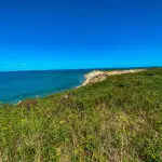Which Martha's Vineyard Tour Is Worth It? Walking, Bus, Boat and Day Trips Compared (2026)