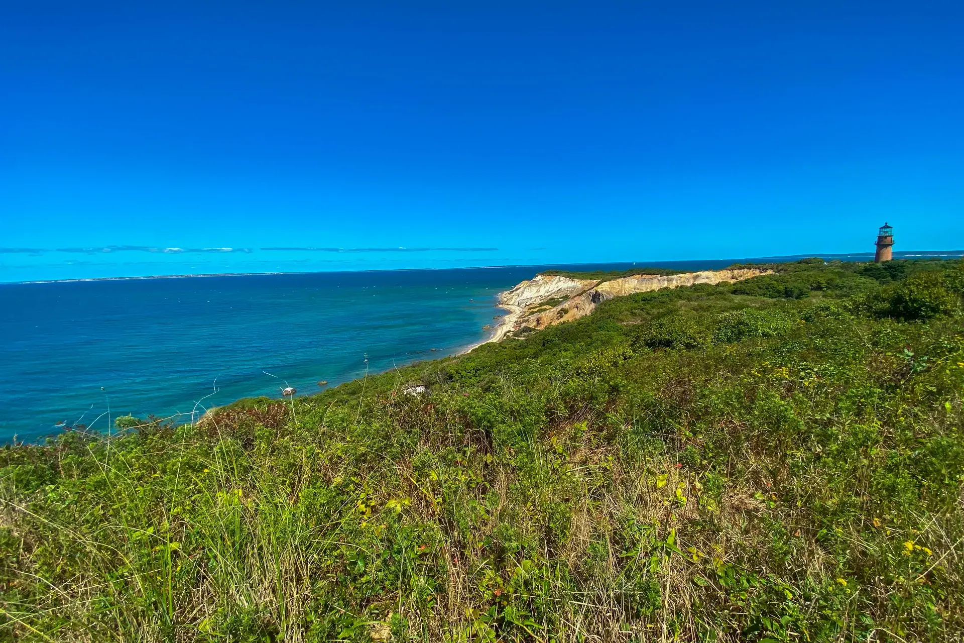 Which Martha's Vineyard Tour Is Worth It? Walking, Bus, Boat and Day Trips Compared (2026)
