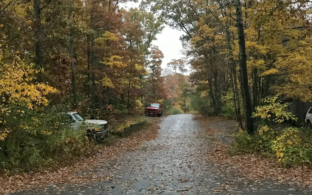 Autumn leaves on Martha’s Vineyard