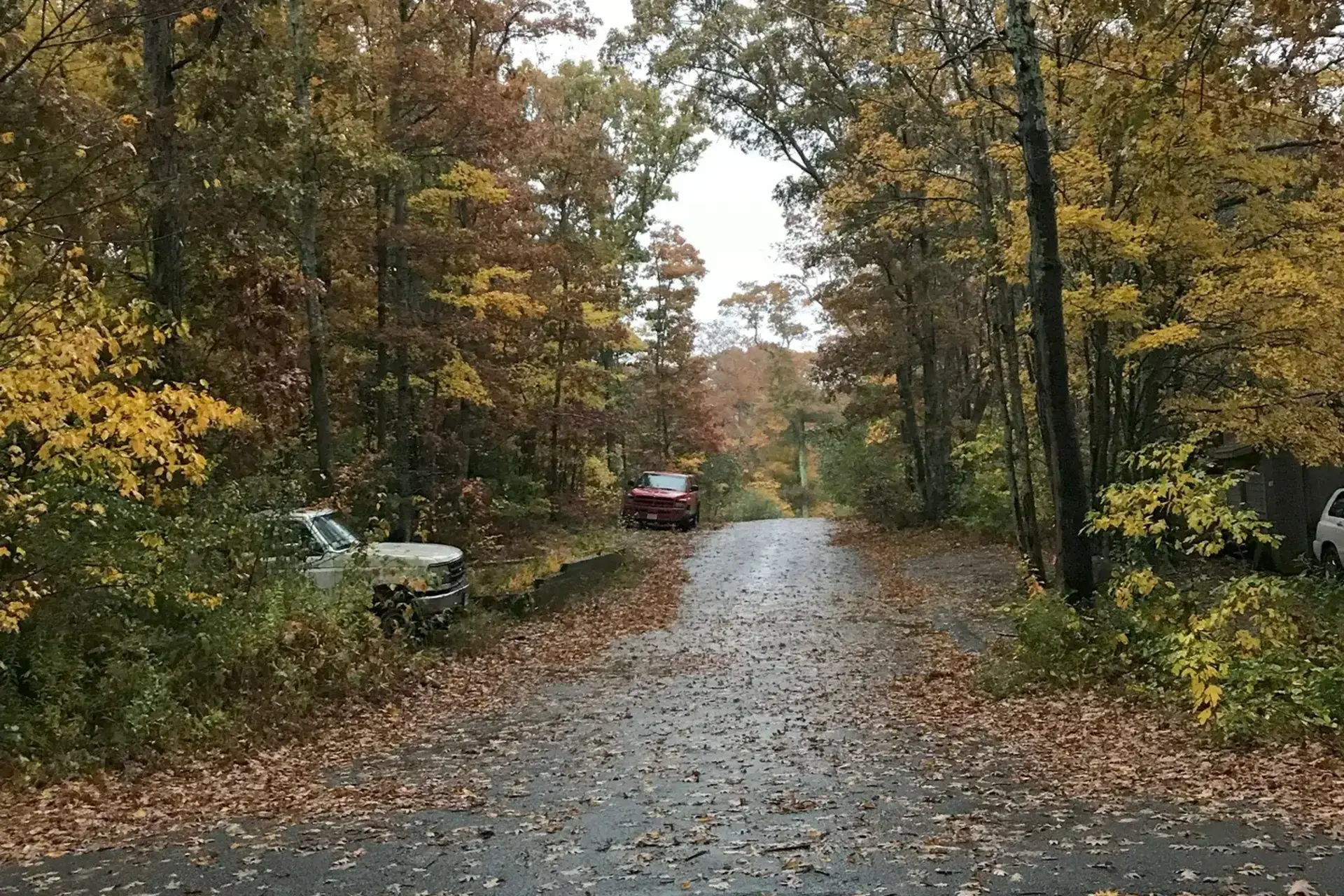 Halloween on Martha's Vineyard: The Puppet Parade, Happy Haunting, Circuit Avenue and the Up-Island Parties, Town by Town (2026)