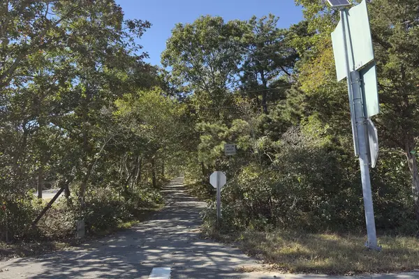 The bike path at the turn for the airport, looking toward West Tisbury