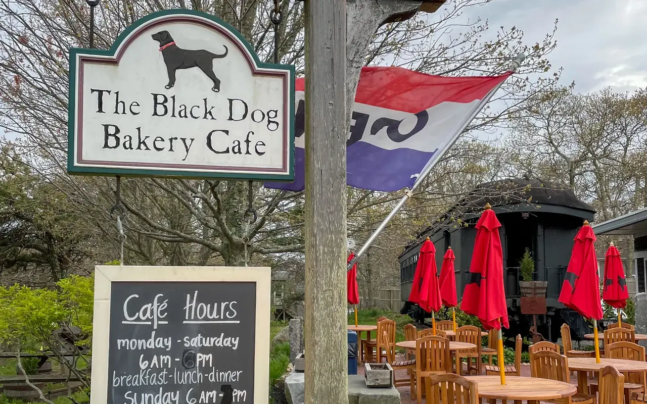 Black Dog Bakery Cafe sign with red patio umbrellas in Vineyard Haven