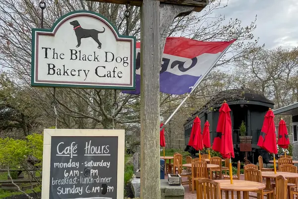 Black Dog Bakery Cafe sign and red patio umbrellas in Vineyard Haven
