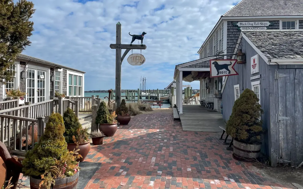The Black Dog Tavern, an iconic restaurant in Vineyard Haven