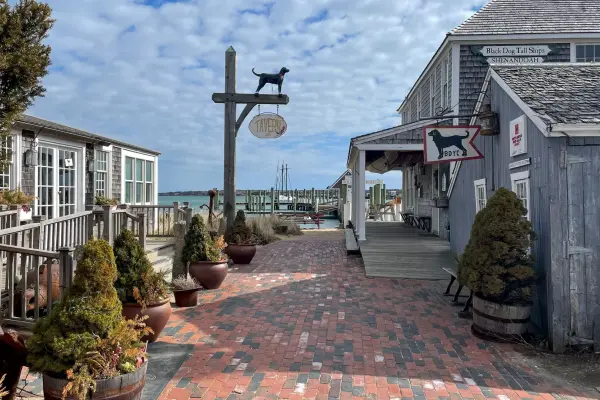 The Black Dog Tavern in Vineyard Haven