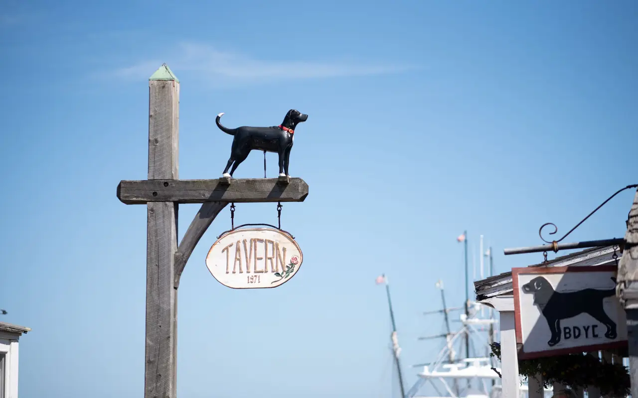 Black dog figure on top of a wooden sign post above a Tavern 1971 sign against blue sky