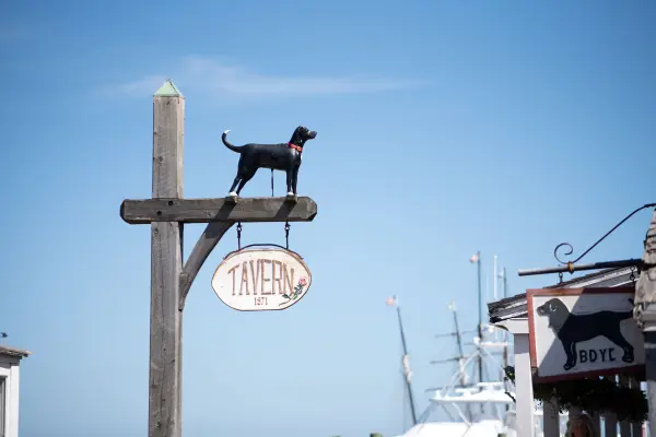 The Black Dog sign post: the iron dog and the Tavern 1871 board