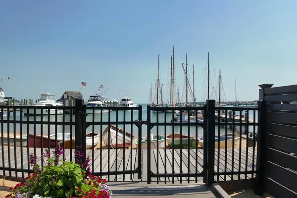The harbor from Boch Park
