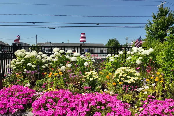 Flower beds at Boch Park