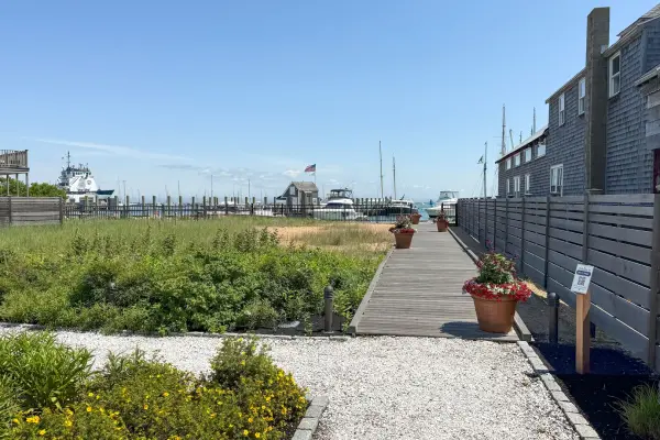Green space at Boch Park