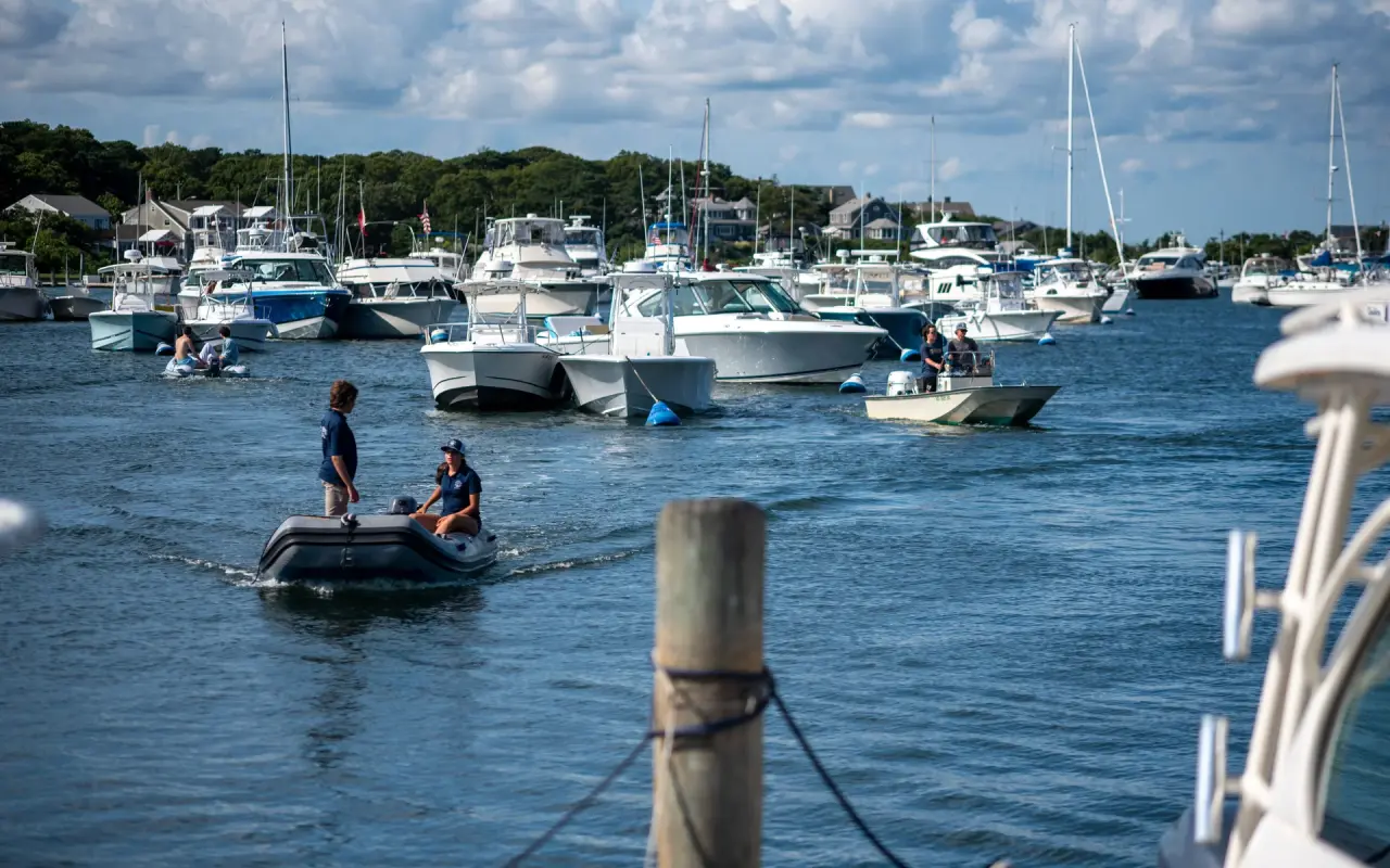 Busy Oak Bluffs Harbor full of moored boats on a summer afternoon