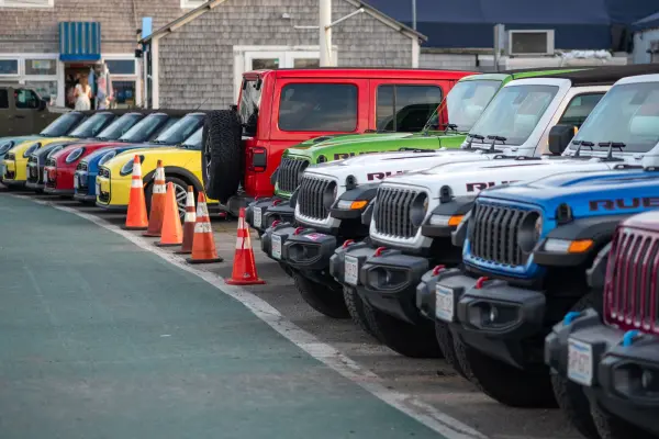 The rental fleet lined up: Jeeps one row, Minis the next