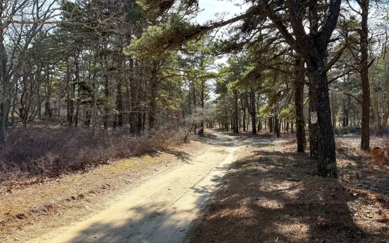 Wooded trails on Chappaquiddick Island in 2026