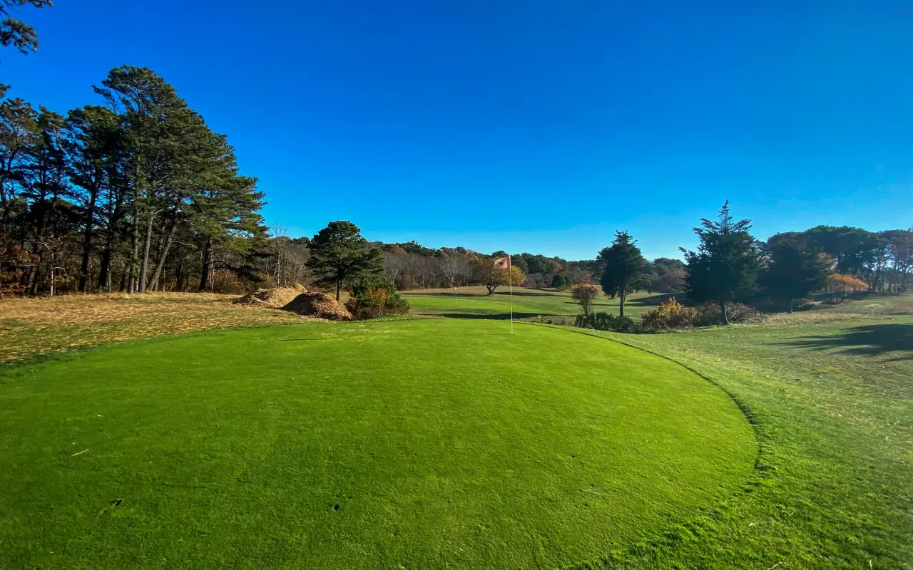 Golf green surrounded by trees on the Chappaquiddick links under a clear sky