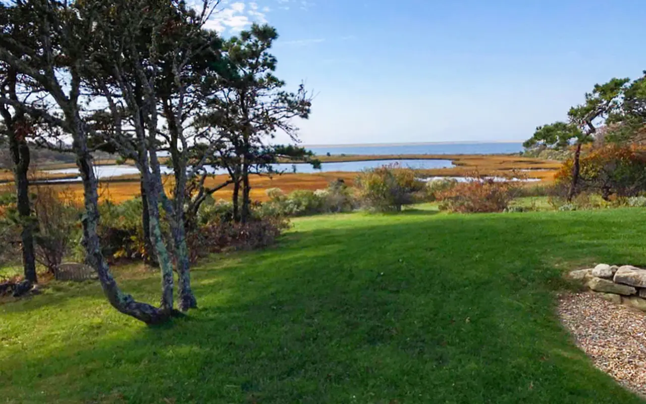 Twisted trees and a green lawn on Chappaquiddick above a golden salt marsh and a pond, with open water beyond