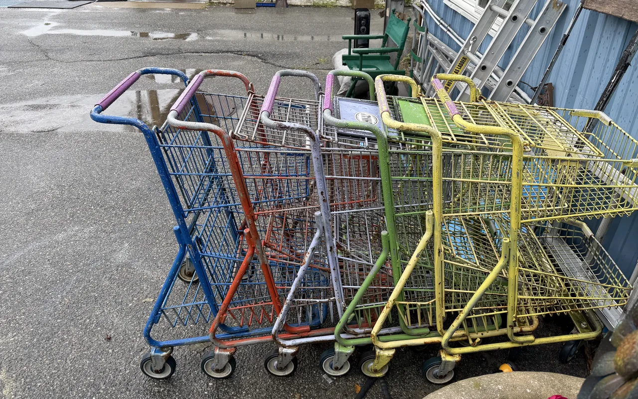 Colorful shopping carts lined up outside the Chicken Alley Thrift Shop