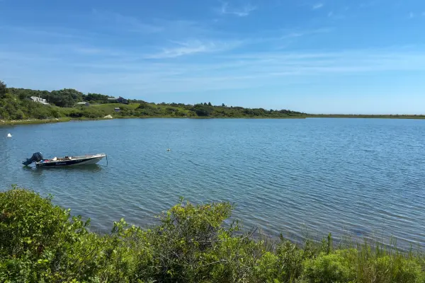 The Ponds of Martha's Vineyard: Great Ponds, the Cut, the Blooms and Where to Meet Them (2026)