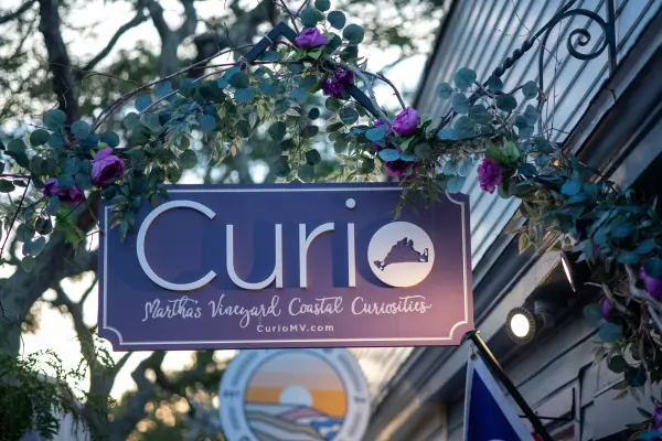 Curio, coastal curiosities under the eucalyptus