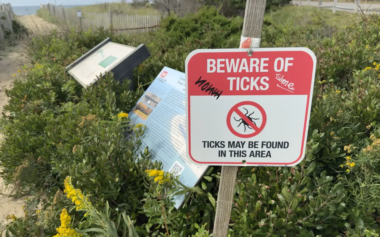 A red and white Beware of Ticks sign on a wooden post beside a sandy dune path, with shrubs, yellow goldenrod and an information panel behind it