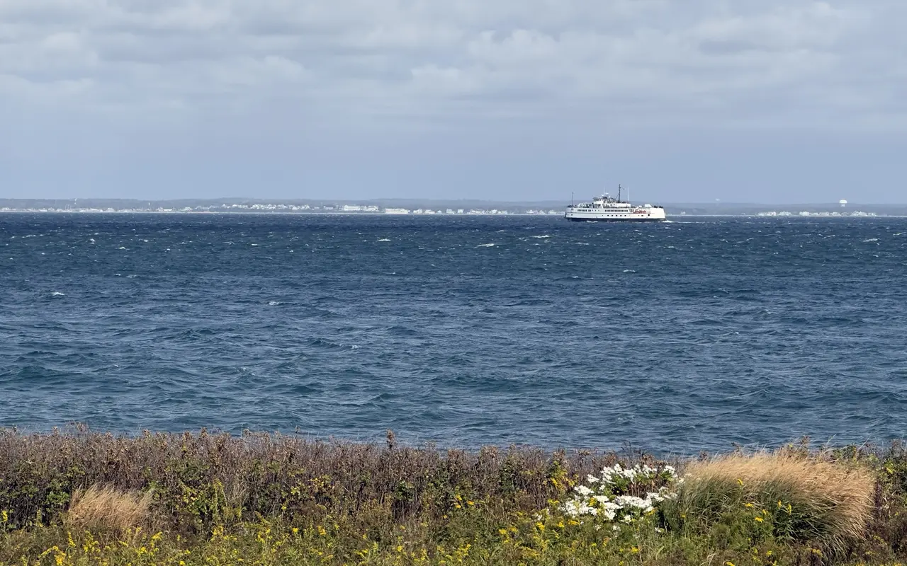 White ferry with a black hull crossing choppy blue water, a low line of houses on the far shore and goldenrod and white flowers in the foreground
