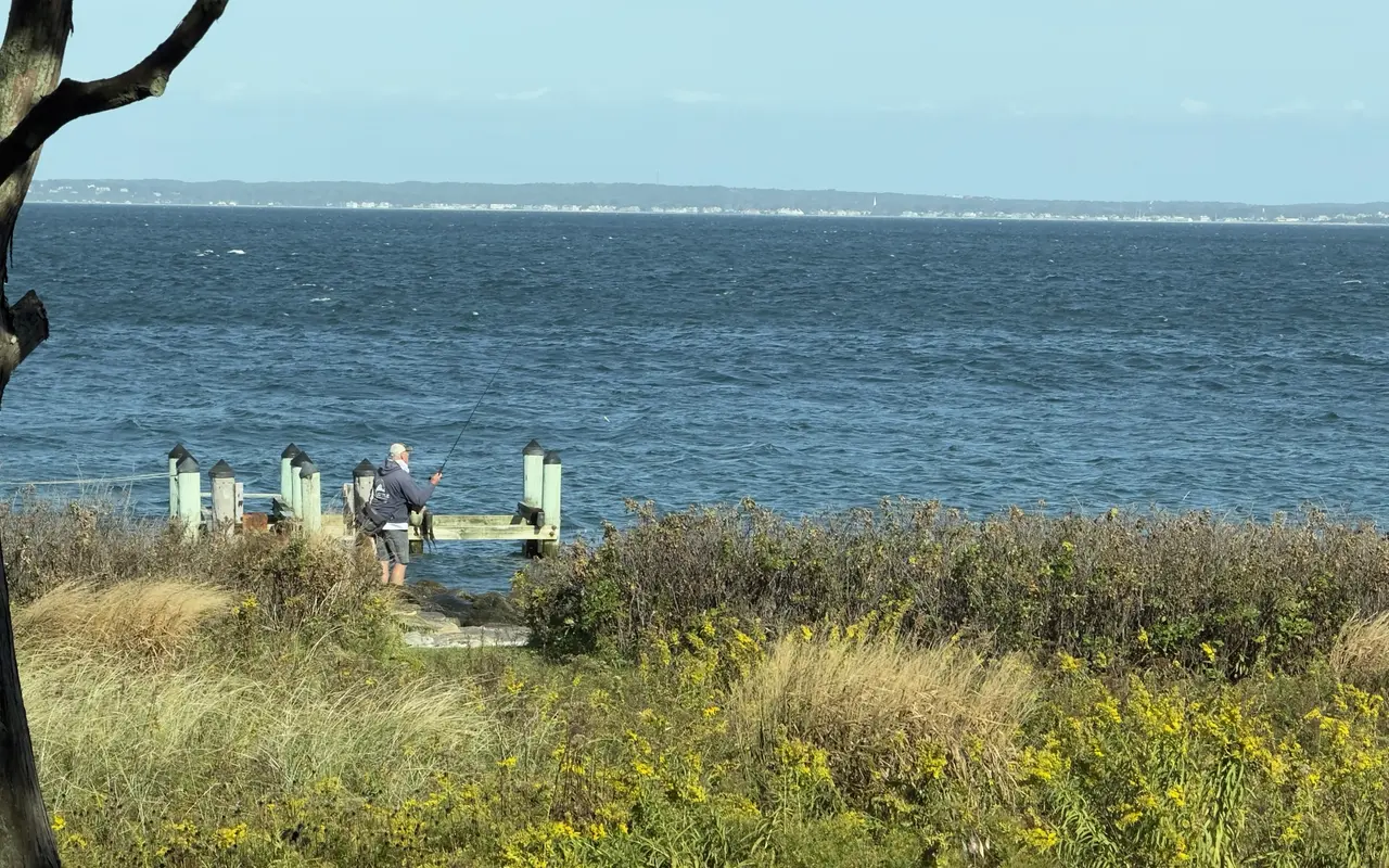 Man in a cap and hooded sweatshirt casting from rocks beside a weathered dock, choppy water and a distant shoreline beyond, goldenrod and dune grass in front