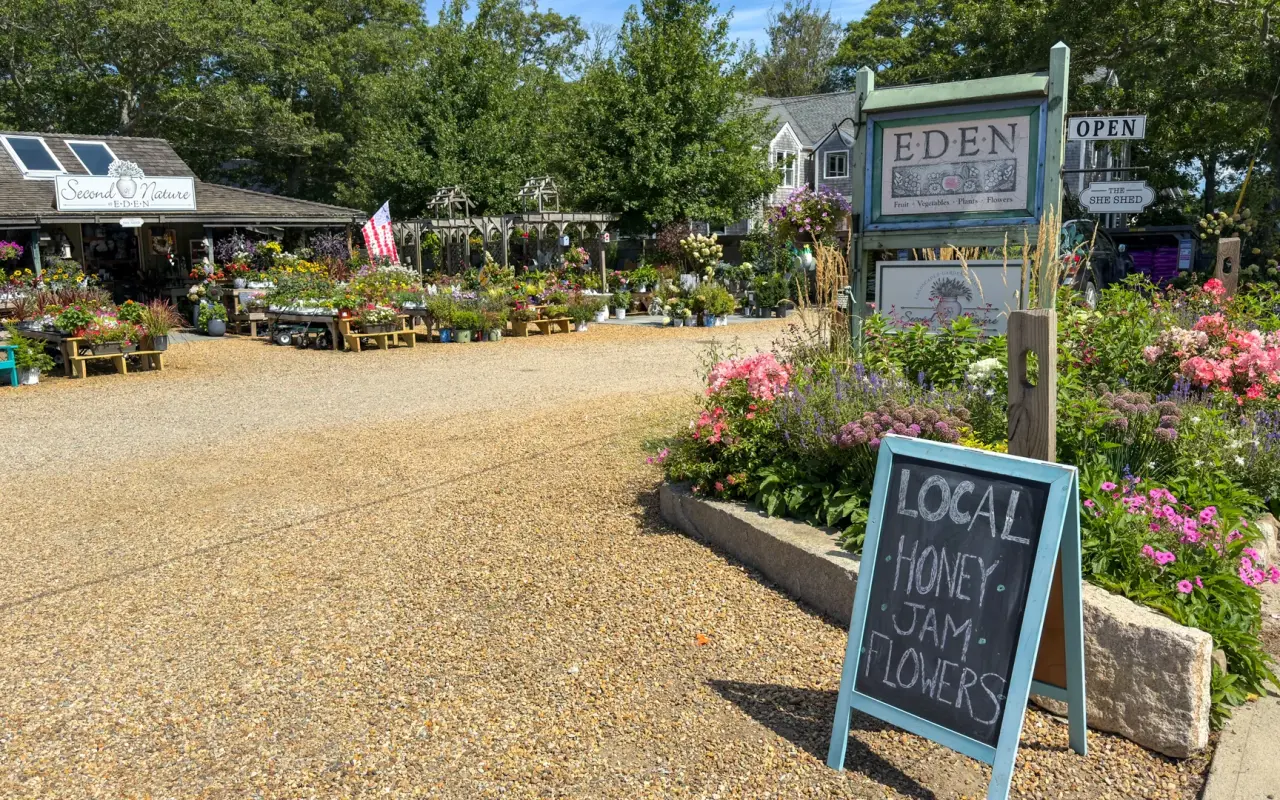 Entrance of a garden center in Vineyard Haven with gravel paths, flowers in bloom and a chalkboard sign for local honey and jam