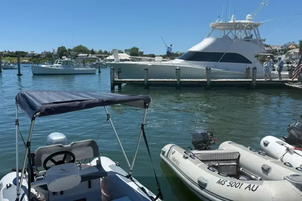 Edgartown Harbor, June 2026
