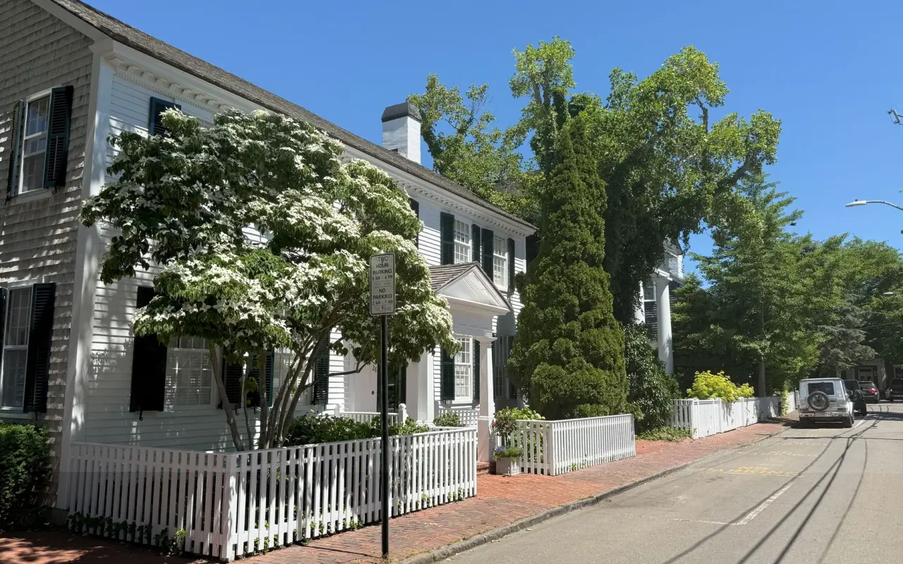 Sunny Edgartown side street with white clapboard houses, a flowering dogwood and a white picket fence
