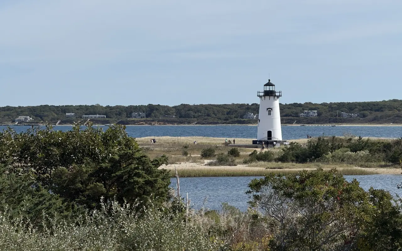 The white Edgartown Lighthouse with a black lantern room on a grassy spit, visitors walking around it, a tidal pond and shrubs in front and the wooded Chappaquiddick shore beyond