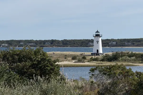 Edgartown Lighthouse across the marsh