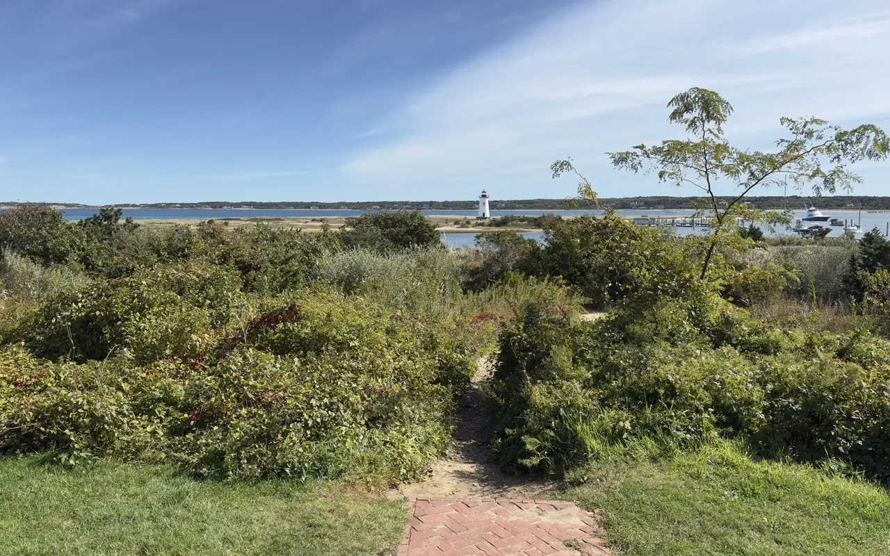 A short herringbone brick path turning into a sandy footpath through green shrubs, with Edgartown Lighthouse and the harbor full of boats in the distance