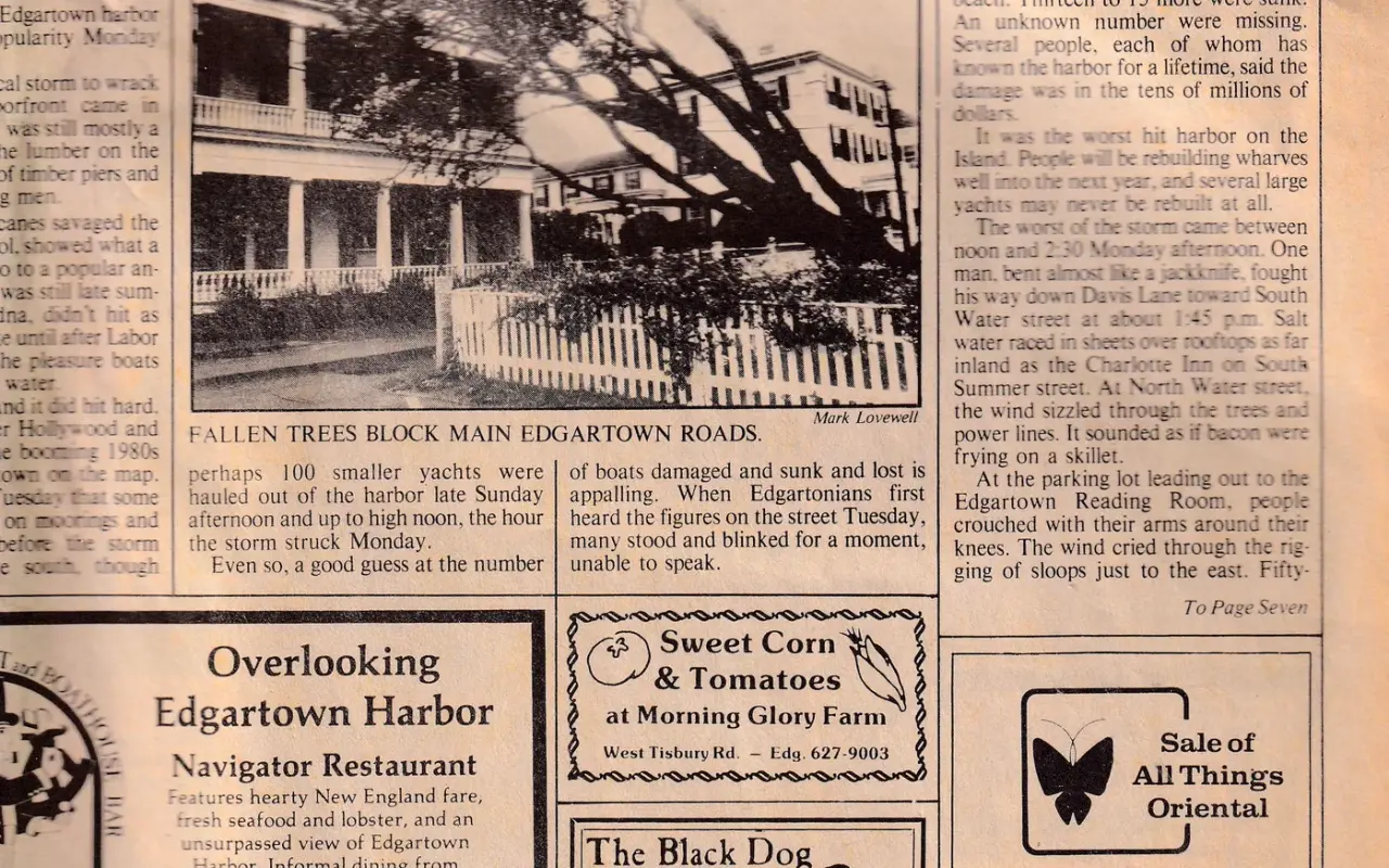 Newspaper photo of fallen trees blocking roads in Edgartown after Hurricane Bob in 1991