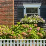 Are the Martha's Vineyard Mysteries Filmed on Martha's Vineyard? The Real Story