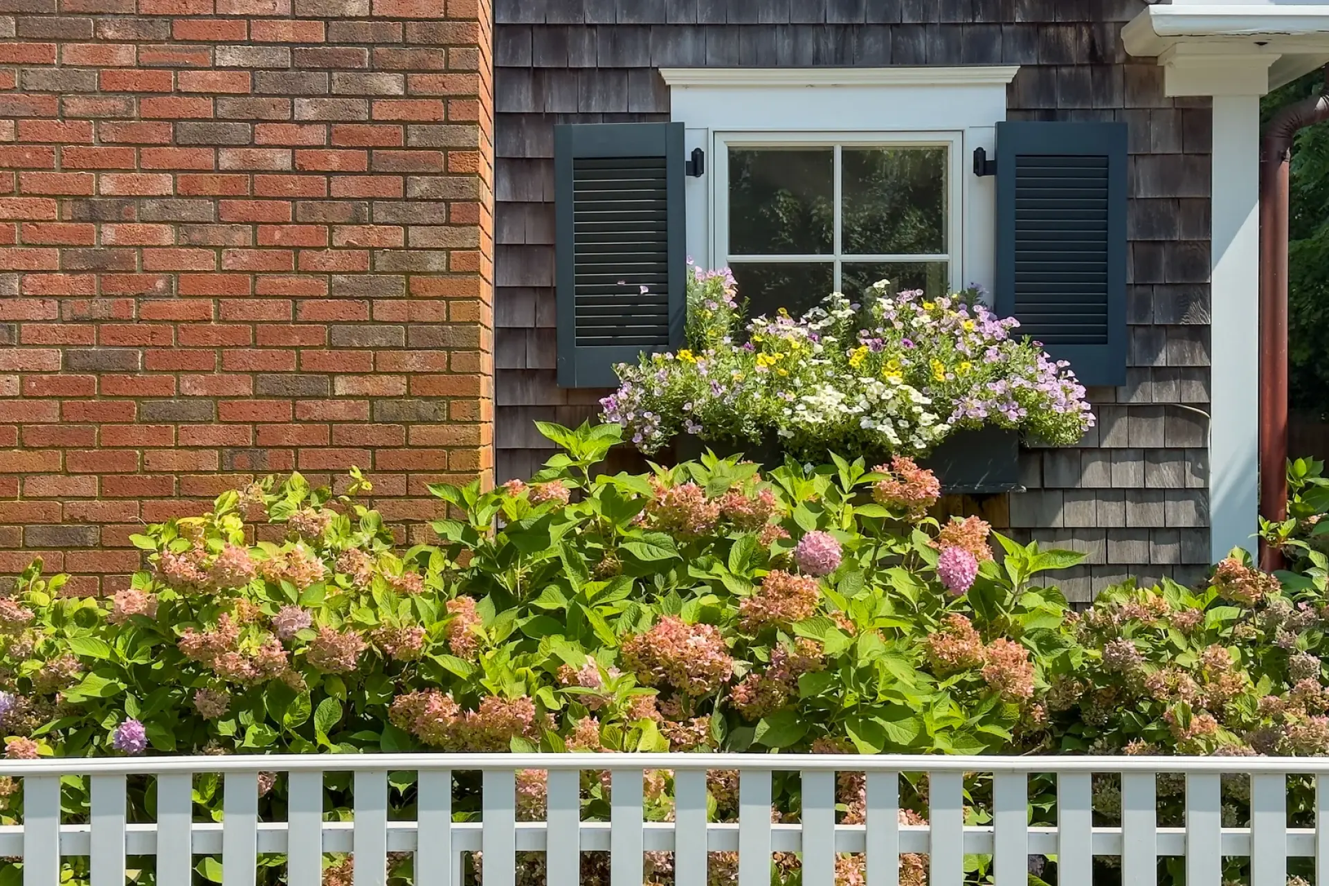 Are the Martha's Vineyard Mysteries Filmed on Martha's Vineyard? The Real Story