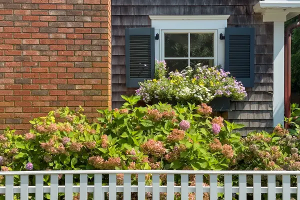 Are the Martha's Vineyard Mysteries Filmed on Martha's Vineyard? The Real Story