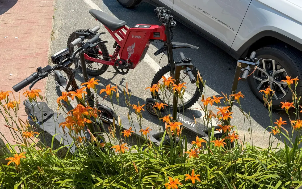 Electric bikes parked among orange daylilies in Vineyard Haven