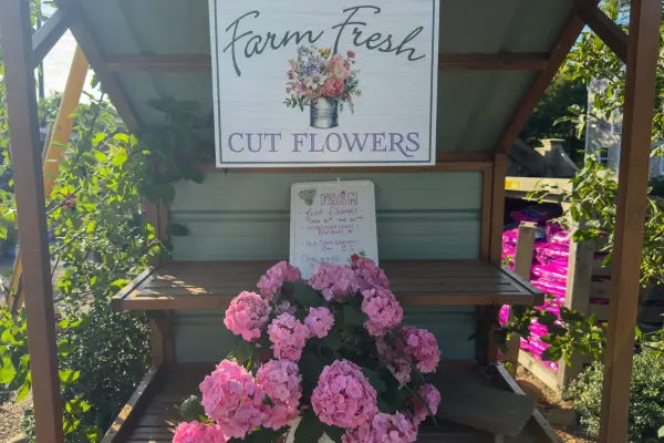 A farm-fresh cut flower stand in Vineyard Haven, honey and jam on the shelf behind.