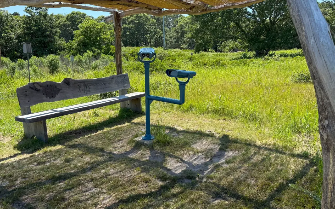 A wooden bench and a mounted spotting scope on a mown trail through a meadow at Felix Neck
