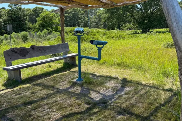 Felix Neck Wildlife Sanctuary, Edgartown: Trails, Ospreys, Kayak Tours and What to Know (2026)