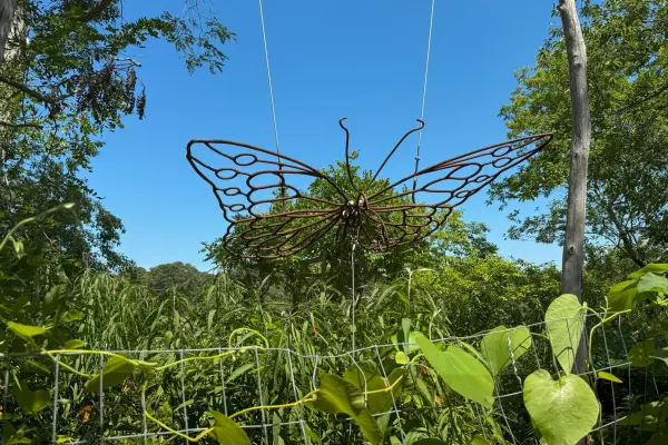 Butterfly sculpture above the pollinator garden