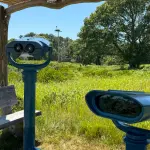 Birdwatching on Martha's Vineyard: Hotspots, Seasons and the Free Walks (2026–2027)