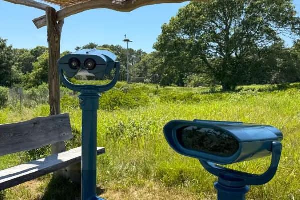 Felix Neck Wildlife Sanctuary photo gallery