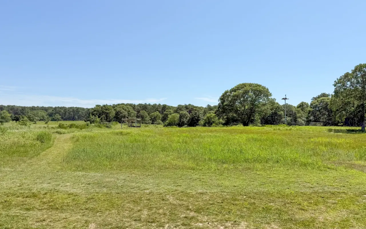 Open meadow at Felix Neck Wildlife Sanctuary beside Sengekontacket Pond