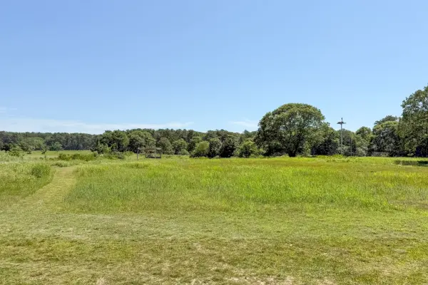 Open meadow with the osprey pole in the distance
