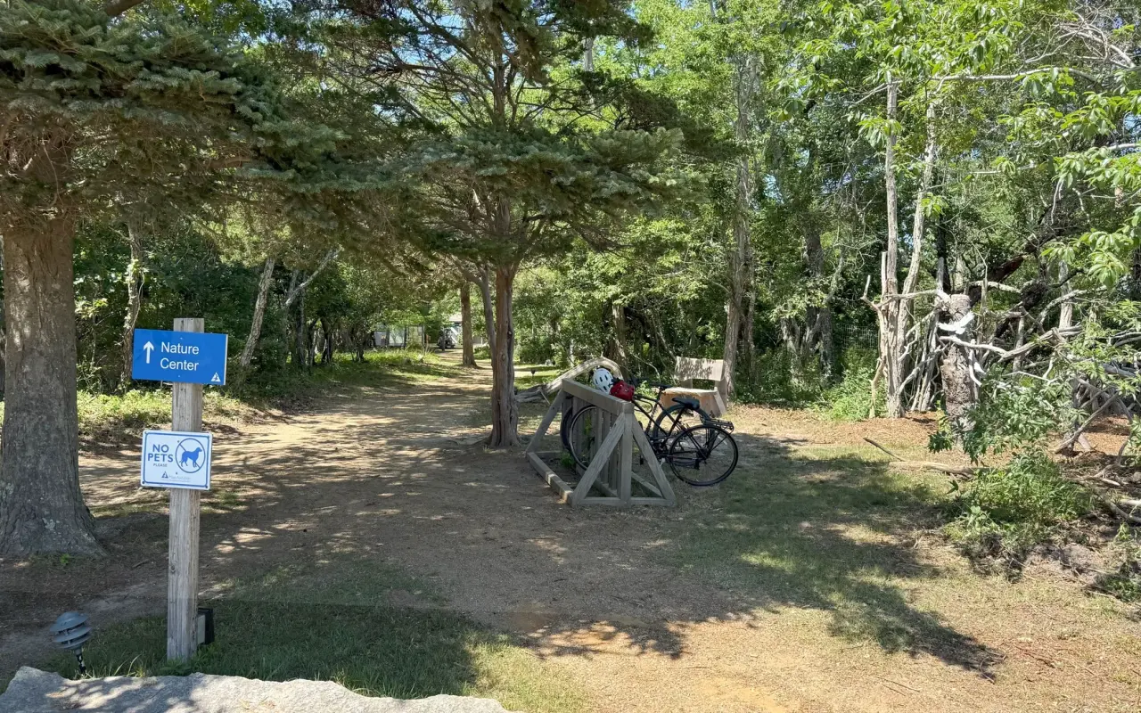 Shaded path to the nature center at Felix Neck Wildlife Sanctuary